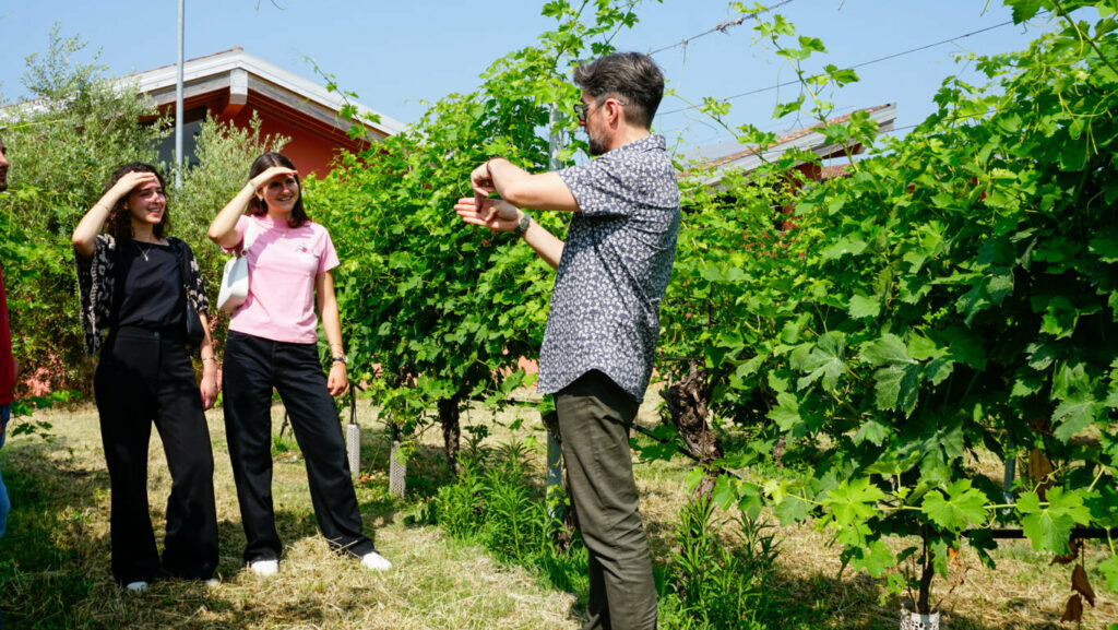 wine tasting and visit bardolino 2