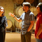 wine tasting and visit bardolino 7