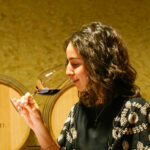 wine tasting and visit bardolino 1