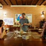 wine tasting and visit bardolino 8