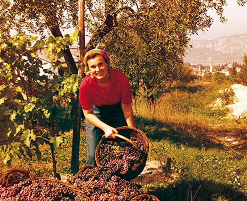 azienda-2 azienda-2